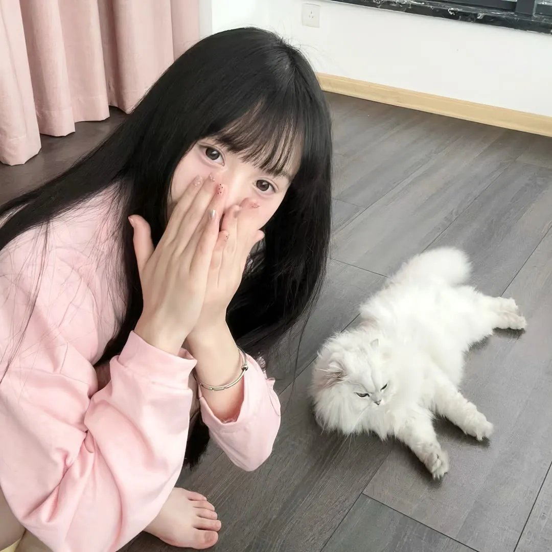 美女与盗贼